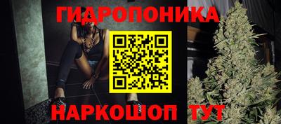 дмт Кингисепп