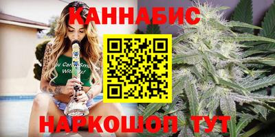 дмт Кингисепп