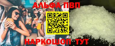 дмт Кингисепп