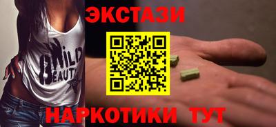 дмт Кингисепп