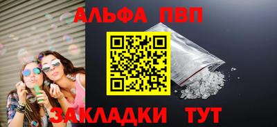 дмт Кингисепп