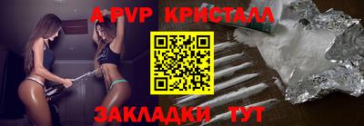 дмт Кингисепп