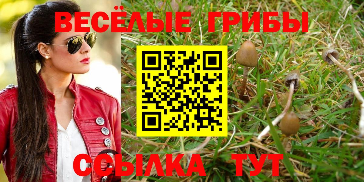Псилоцибиновые грибы ЛСД Киреевск