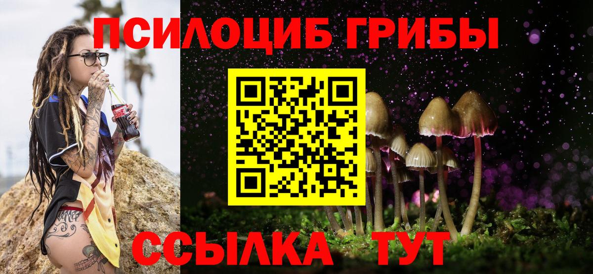 Киреевск  Галлюциногенные грибы прущие грибы  Галлюциногенные грибы GOLDEN TEACHER  Вход с VPN 